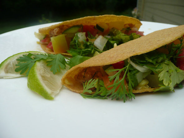 Crunchy fish tacos with avocado zucchini summer vegie melange