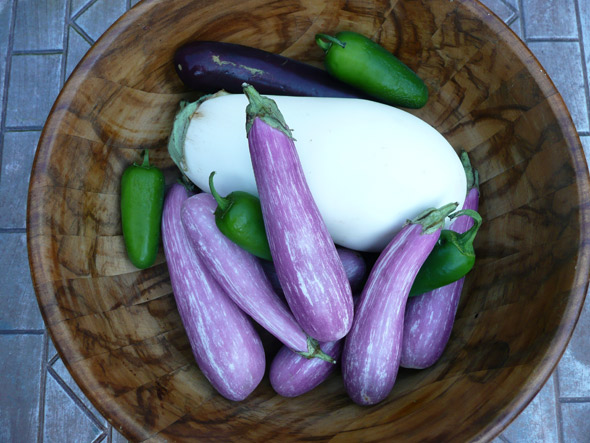 Eggplant, the Aphrodite of Vegetables