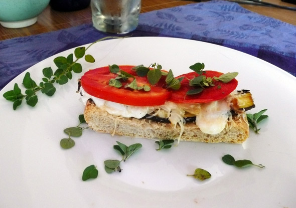 Eggplant & Tomato Sandwich on Toasted Ciabatta