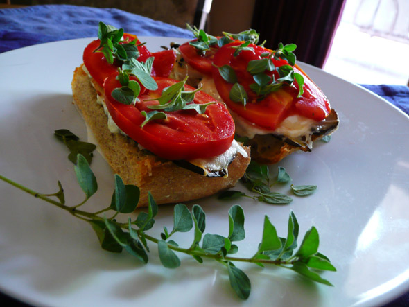 Eggplant & Tomato Sandwiches on Toasted Ciabatta