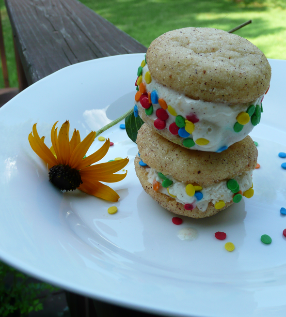 Ice Cream Sandwiches with Peach Banana Coconut Ice Cream