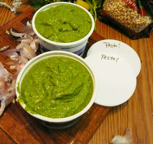 Basil Lime Pesto, ready for the freezer