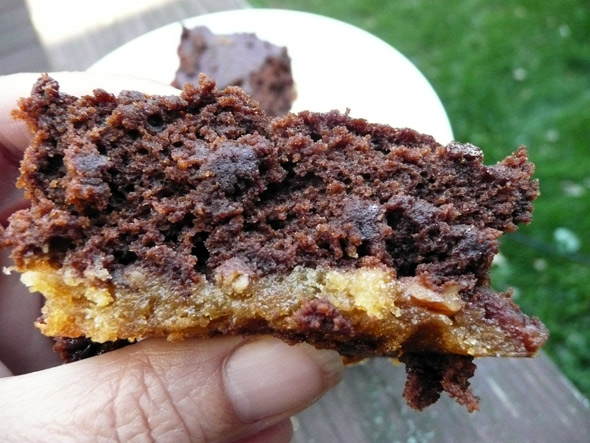 black-&-tan-brownies Black & Tan Brownies