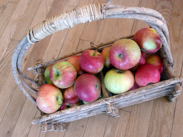 Apples for the Caramel Rolls