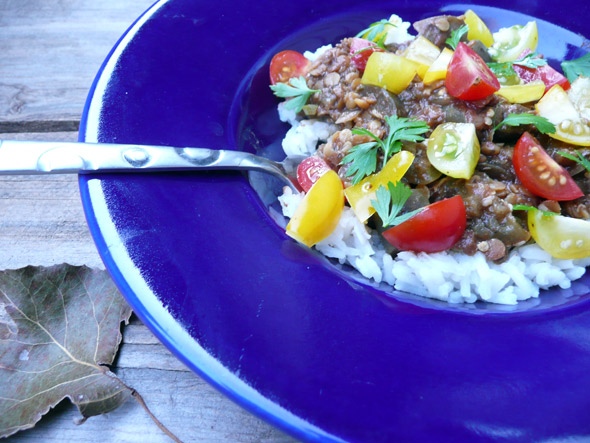 Lentil-Eggplant-Mole-Stew