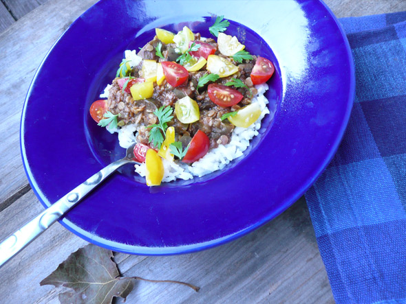 Lentil & Eggplant Stew Mole