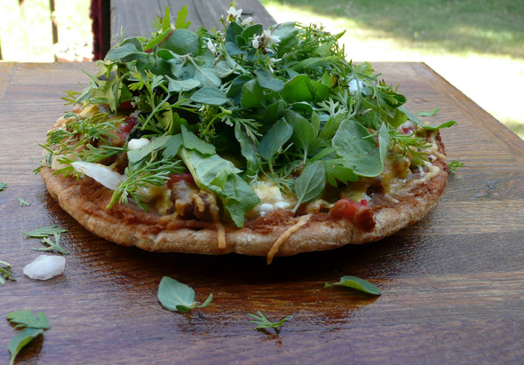 Wild Taco Pizza with Goat Cheese & Herbs