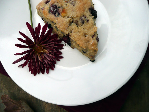 Mulberry White Chocolate Scones