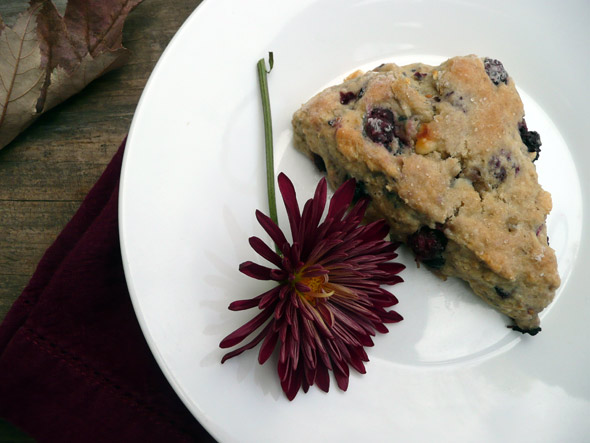 Mulberry White Chocolate Scones