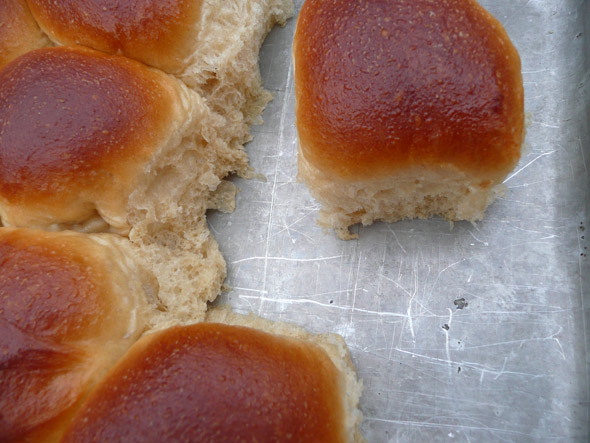 Dinner Rolls from Heaven :)