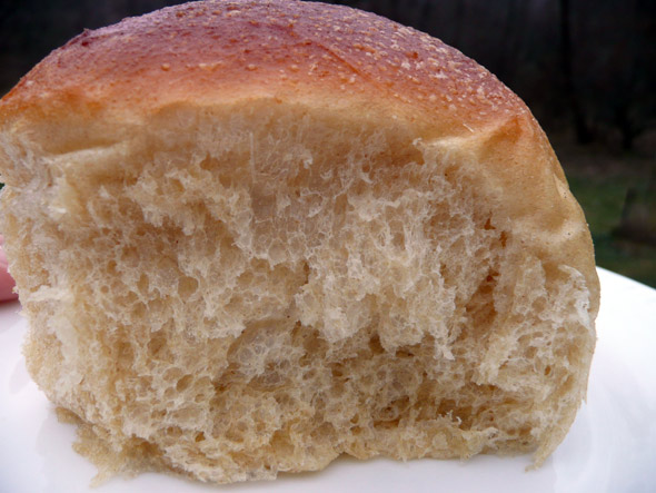 The Lovely Texture of these Soft, Sweet Dinner Rolls
