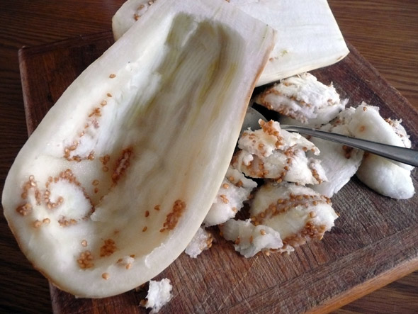 Scooped out Eggplant Shell