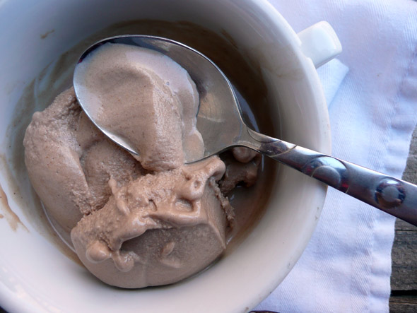 Chocolate Peanut Butter Banana Ice Cream