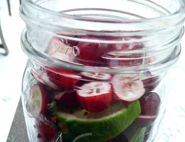 Cranberry Lime Vodka