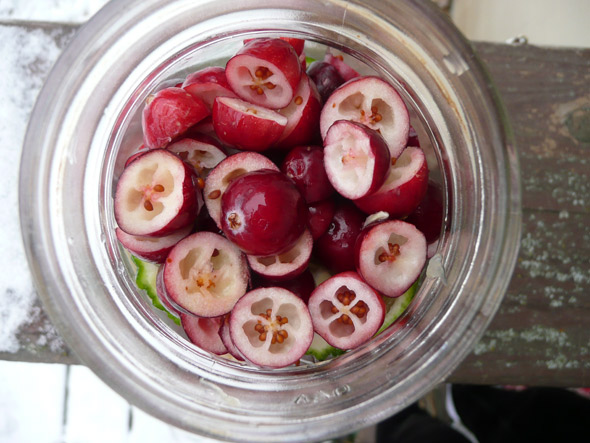 Cranberry Lime Vodka