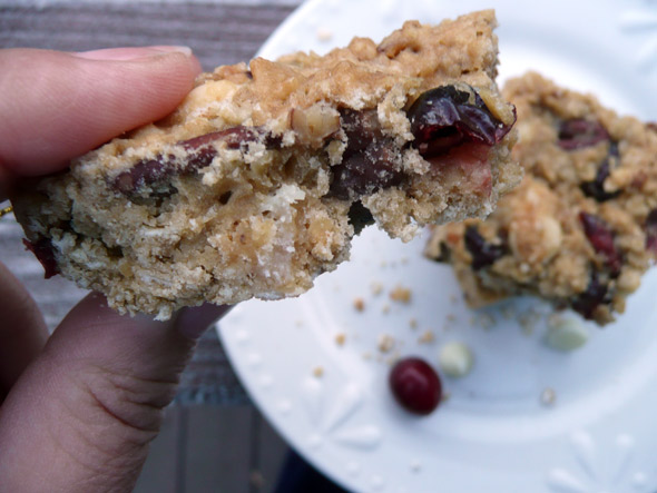 Cranberry White Chocolate Oatmeal Bars with Toasted Pecans