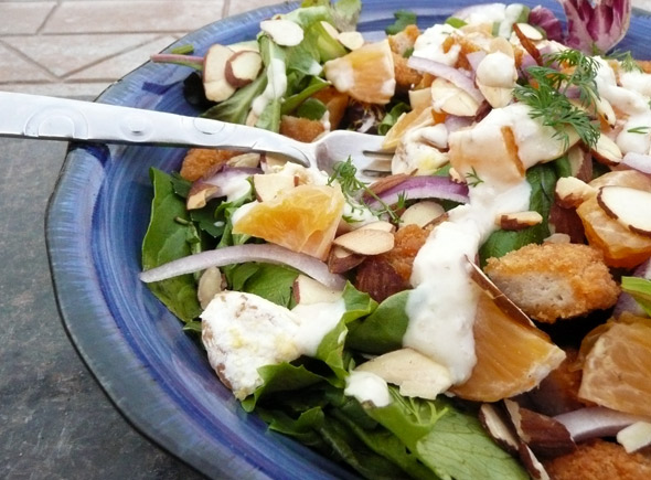 Chicken & Tangerine Salad with Honey Ginger Yogurt Salad Dressing