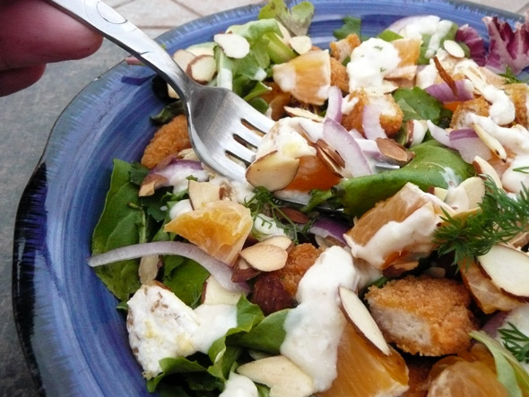 Chicken & Tangerine Salad with Honey Ginger Yogurt Dressing