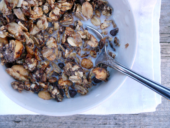 Chocolate Peanut Butter Granola