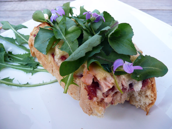 Raspberry Salmon Havarti Toast with Wild Greens