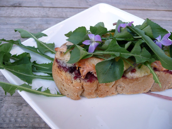 Raspberry Salmon Havarti Toast with Wild Greens