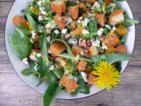 Apricot Chicken Salad with Blue Cheese & Cinnamon Pecans