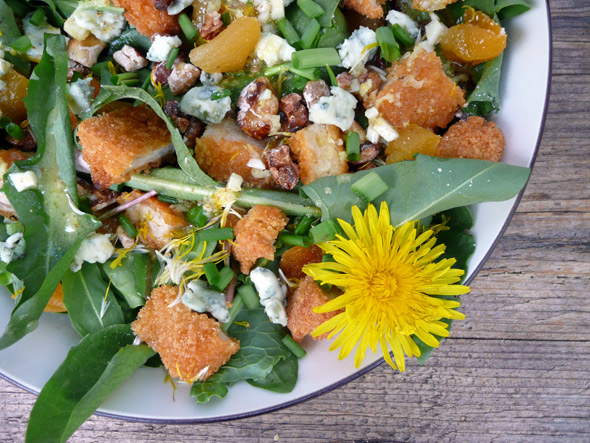 Apricot Chicken Salad with Blue Cheese & Cinnamon Pecans