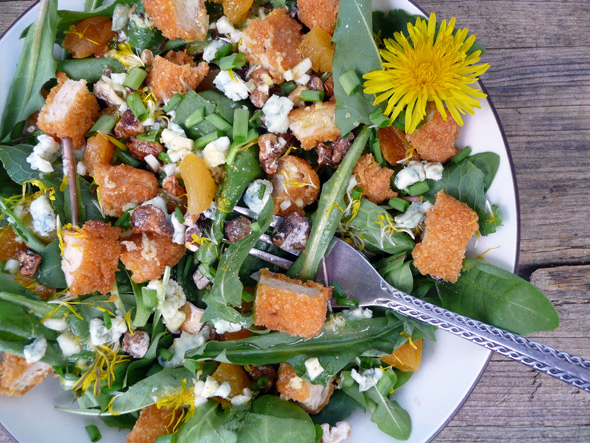 Wild Apricot Chicken Salad with Blue Cheese & Cinnamon Pecans