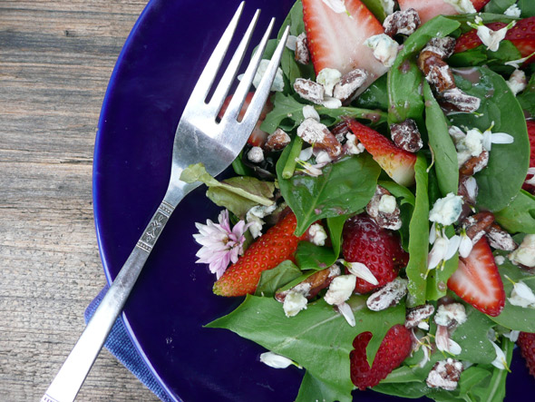 Strawberry Chrysanthemum Salad with Blue Cheese & Cinnamon Pecans