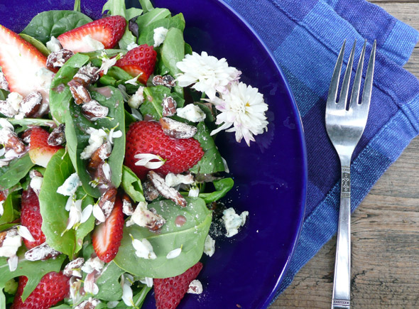 Strawberry Chrysanthemum Salad with Blue Cheese & Cinnamon Pecans