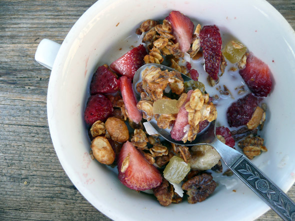 Tropical Trail Mix Granola