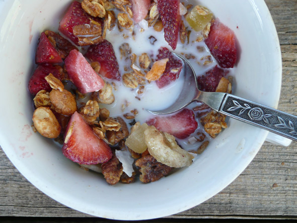 Tropical Trail Mix Granola