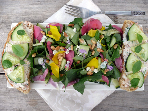 Tulip & Wild Violet Salad with Salmon Blue Cheese Cucumber Toast