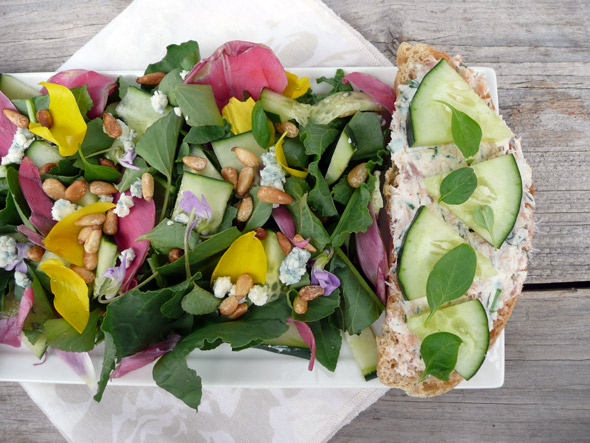 Tulip & Wild Violet Salad with Salmon Cucumber Toast