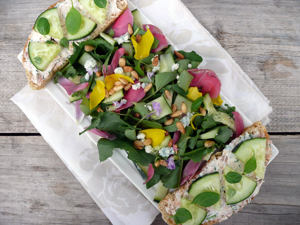 Tulip & Wild Violet Salad with Salmon Blue Cheese Cucumber Toast