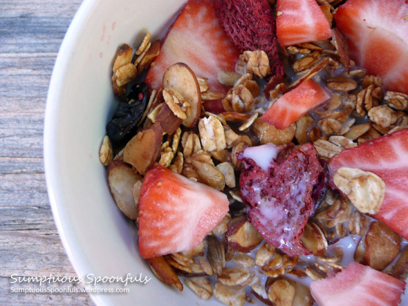 Almond Berry Granola