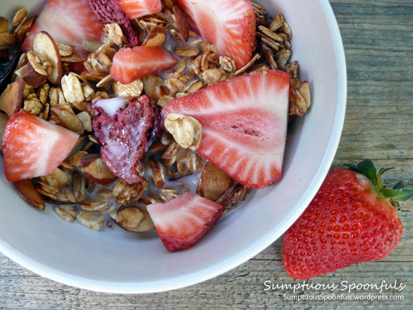 Almond Berry Granola