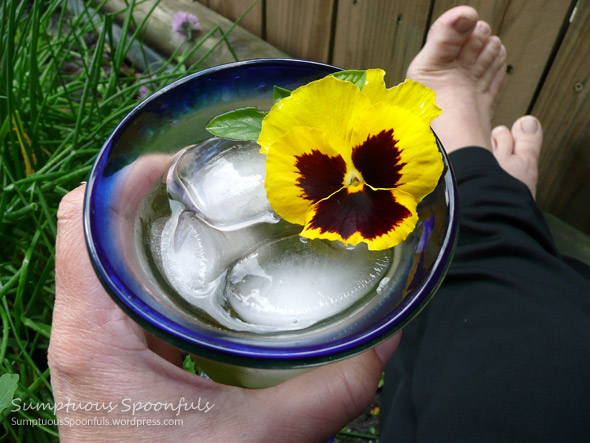 Barefoot in the Garden Basil Wine & Rum Spritzer