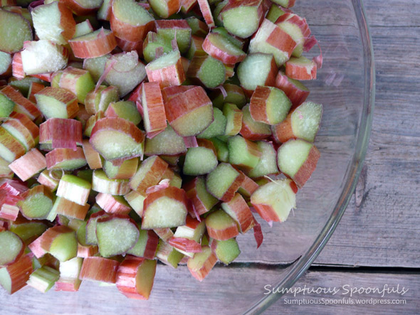 Rhubarb from Mom's Garden