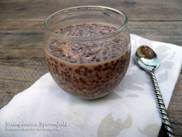 Cinnamon Chocolate Chia Pudding