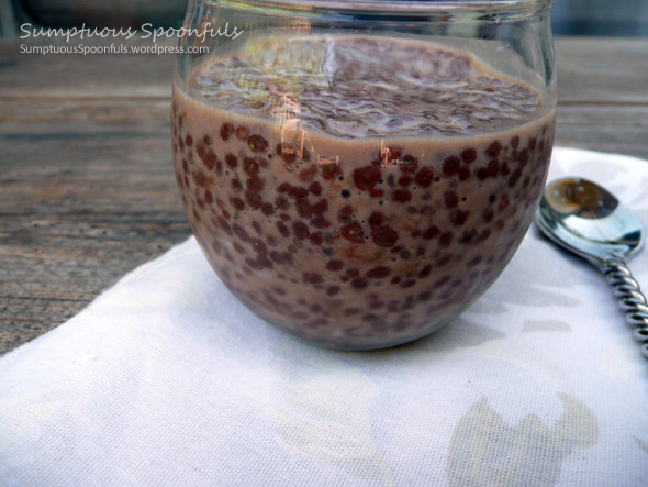 Cinnamon Chocolate Chia Pudding 