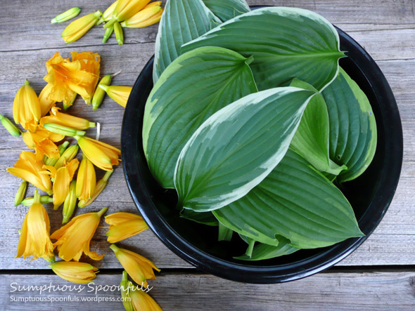 Hostas and Day Lilies are Edible!
