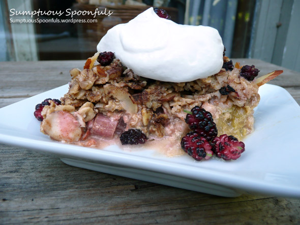 Mulberry Rhubarb Baked Oatmeal Crumble