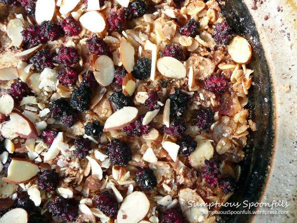 Mulberry Rhubarb Baked Oatmeal Crumble