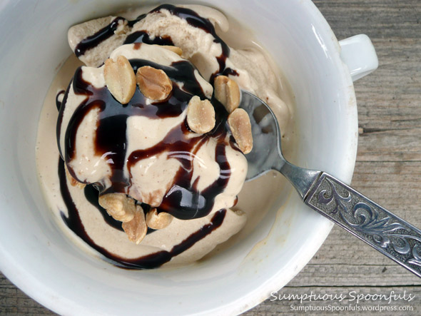 Lowfat Peanut Butter Brown Sugar Ice Cream with PB2