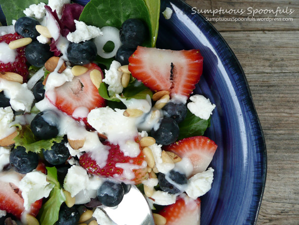 Red, White & Blueberry Salad with Goat Cheese and Toasted Pinons