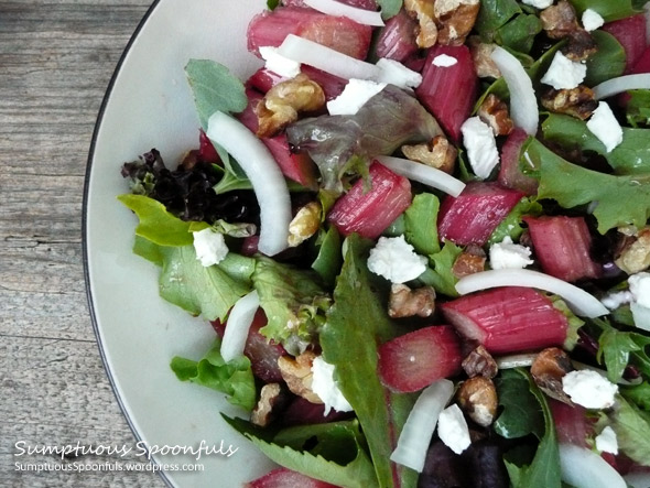 Rhubarb, Walnut, Goat Cheese & Gorgonzola Salad