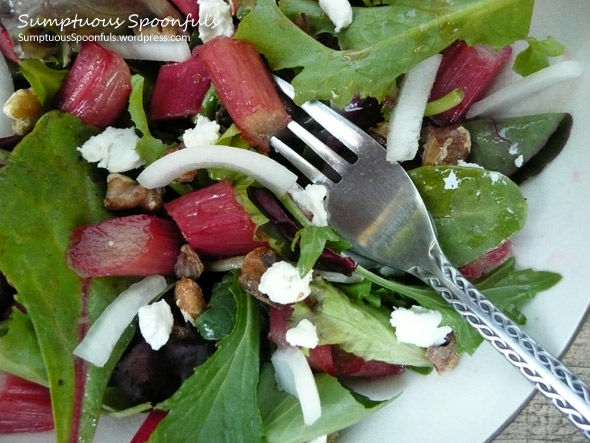 Rhubarb, Walnut, Goat Cheese & Gorgonzola Salad