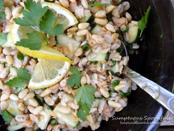 Rosemary Cucumber Barley Lentil Salad