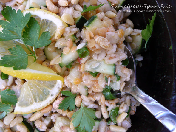 Rosemary Cucumber Barley Lentil Salad